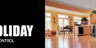 Termites can cause thousands of dollars in damage to your biggest investment, your home.