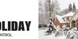 Pests make your home theirs during the winter